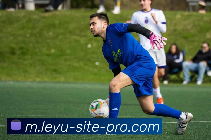 乐鱼体育APP 封面图